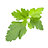 ingredient