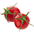 ingredient